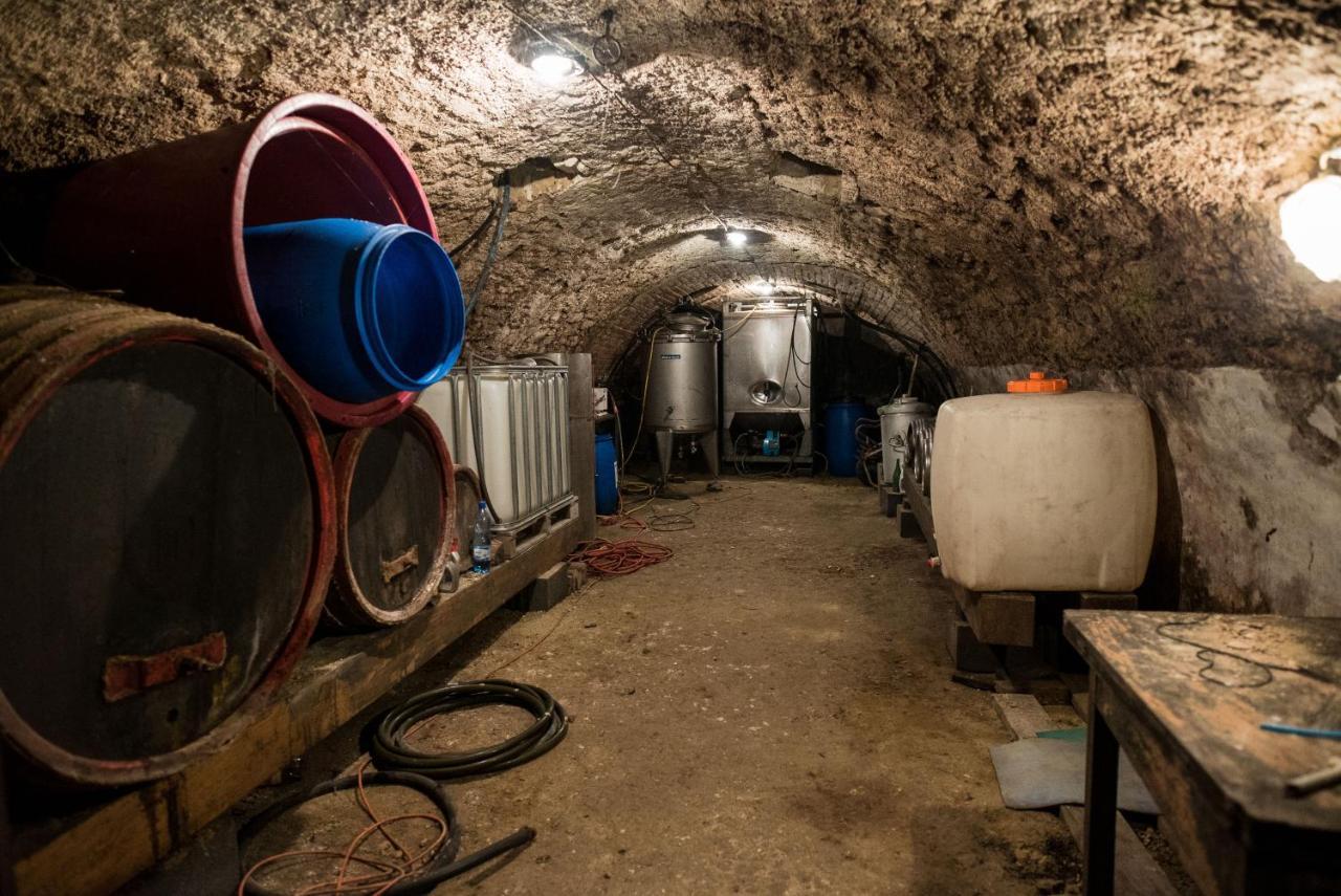 Hillside Vendégház a Szent György-hegyen Raposka Esterno foto